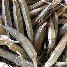 ���l�S��� ��� Խ��֥����Ƕ�����