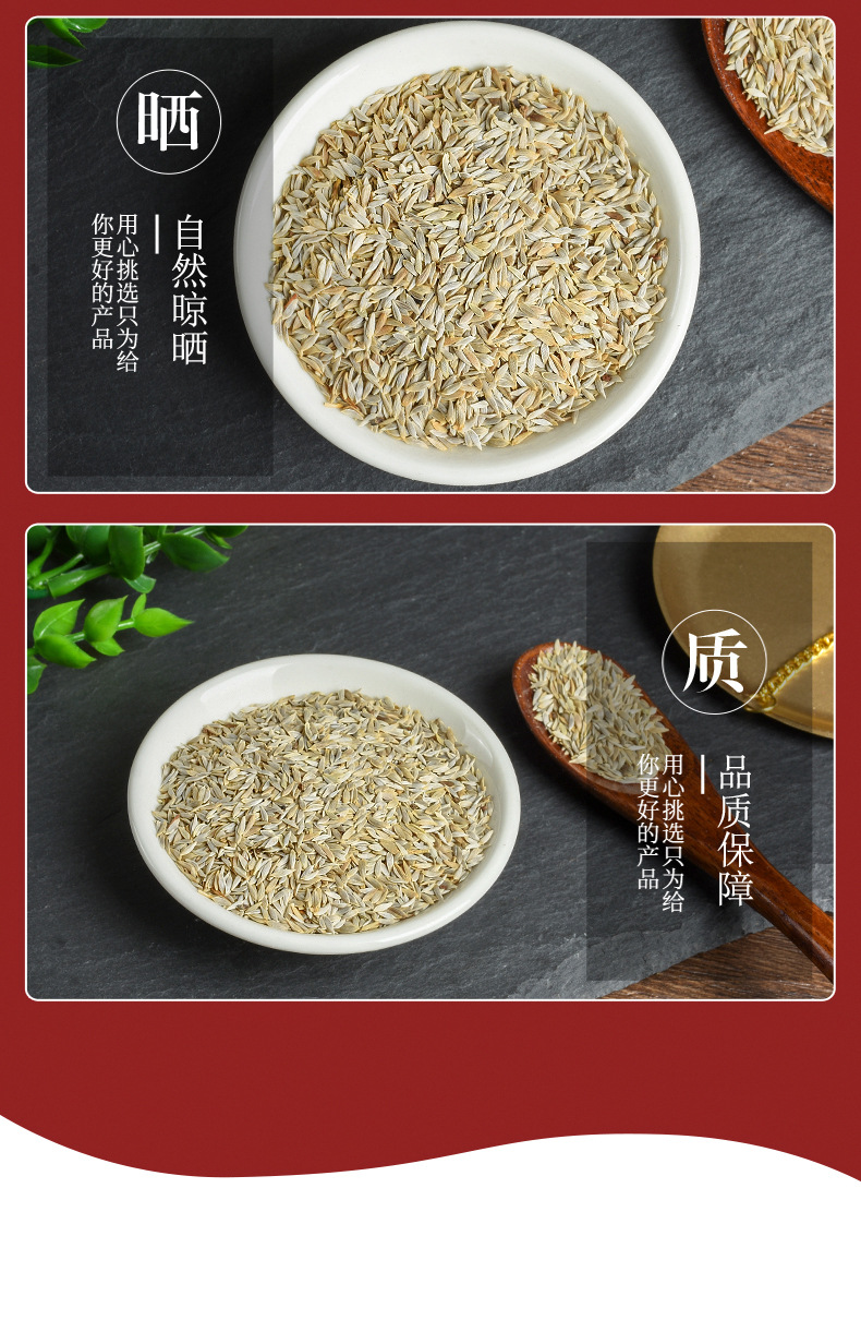 Sheng Cai Zi (Lactuca sativa Seeds) — Dried Food-Herb Seeds, Unsulfured New Crop quality and texture