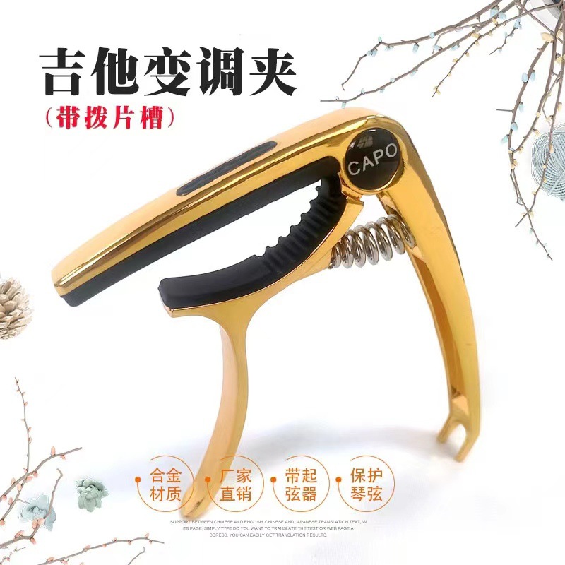 골드 (픽 슬롯 포함)