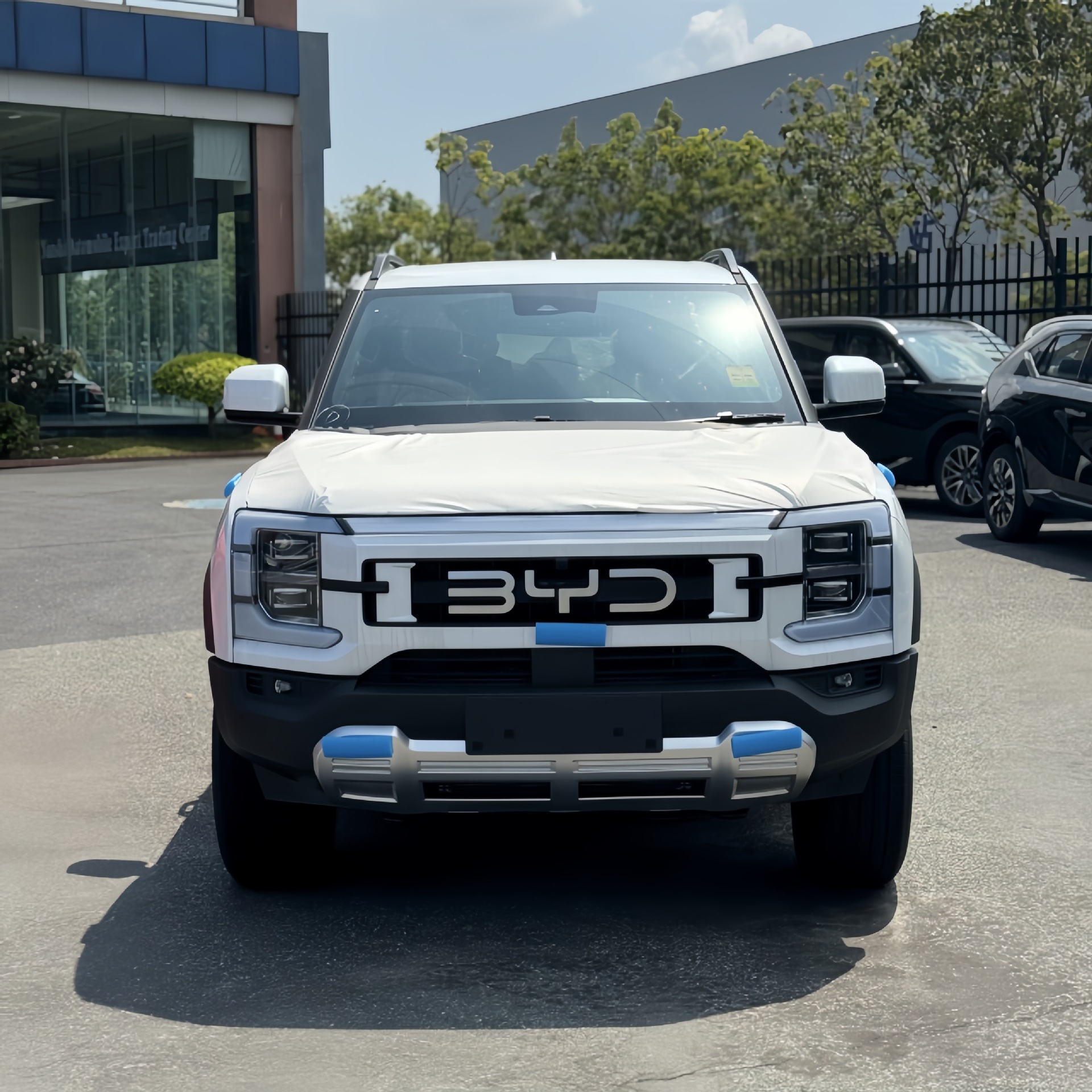 Automatic truck for oily skin