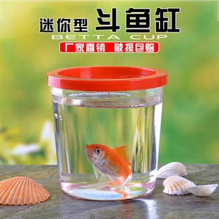 Творческая маленькая мини -туртовая черепаха черепаха рыба медуза чашка пластиковая рыба прозрачная чашка насекомых