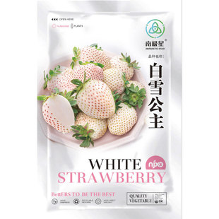 �������Ͳ�ݮ�N���ӷNֲ�ļ��N�Ӱ� �Ϸ��玧�������ʳ����ţ��