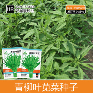 �S�����l���~���{�˷N�ӾG�h��С�~�ļ����Բˈ@����Ѽ��~���{��