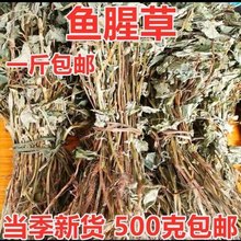 不添加不熏农家自产自晒新鲜鱼腥草干货煲汤折耳根干叶干根泡水喝