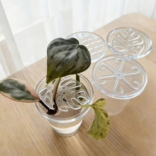 3������ֲ��ˮ���w���m����k���Bֲֳ��������w��ֲ��@ˇ����