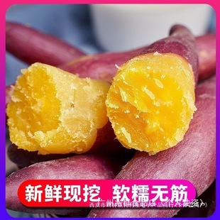 ���؃r�����r����ɳ�ذ��������S�ķ۷����u���S�����t���ع�