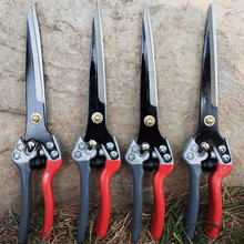 �¿��ք���ë������ë������ë������ëţë�R�׼������ݼ�