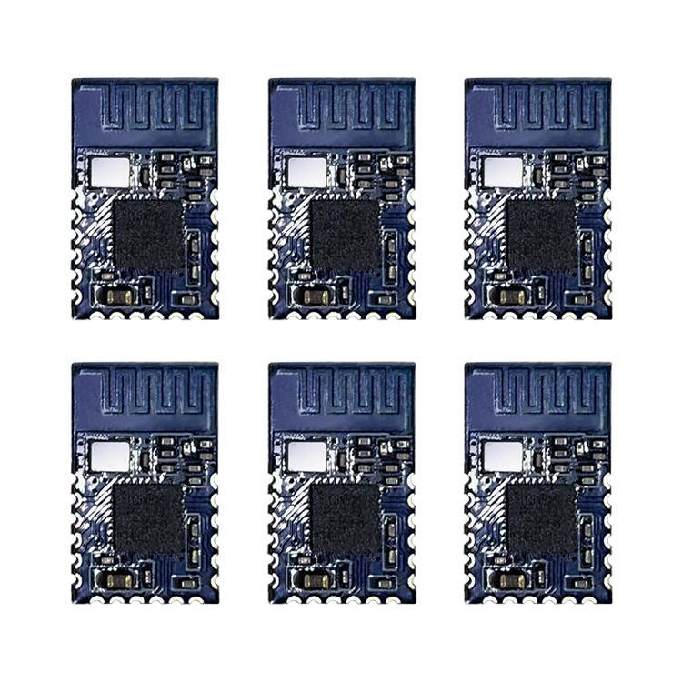 Module, bluetooth