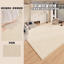 现代简约地垫仿剑麻客厅耐脏耐磨卧室床边毯防猫爪玄关菠萝圈脚垫