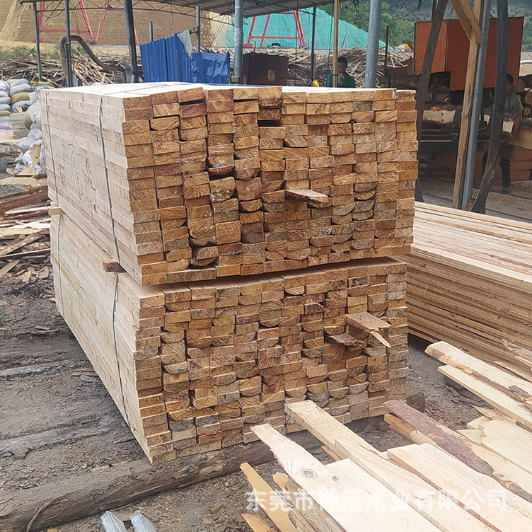 ������ ľ�� ��ݸ��� ���̹��ؽ���ľ�� �չ�1000��������