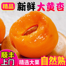 ���S����������ˮ�����r5�������̫��ЋD����