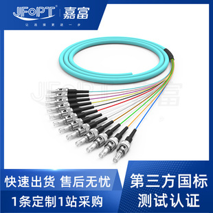 St1224 Core Fiber Optic Pigtail Type Indoor and Outdoor Fca Pc 4872 Core Single/Multimode Lcscapc High Stability Transmission