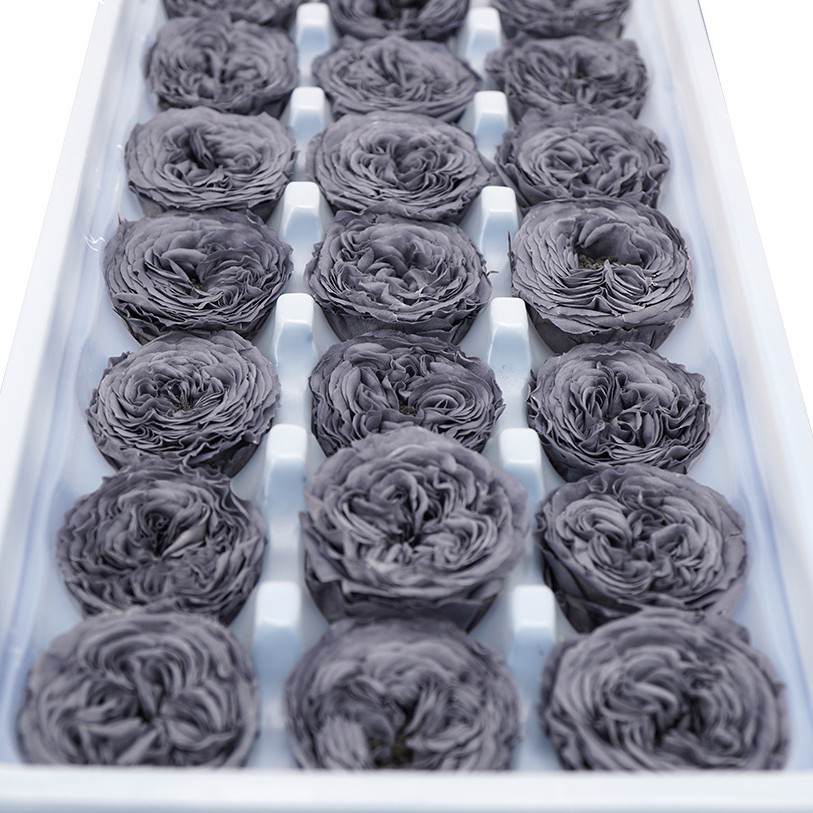 Grade A Valentine's Day Rose/Austin/Eternal Flower/2-3CM Rose cabeza/fábrica al por mayor gran cantidad Congyou