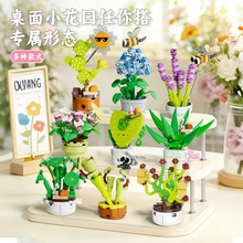 ���ȷeľ����ֲ�������ƽ���޹�²�ƴ�b�������ֹ�����Ů�����