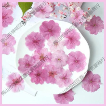 �ѻ�Ѻ���ɻ�ֲ��˱���֬���z�֙C��ֲ�������� diy�̌W���ϰ�