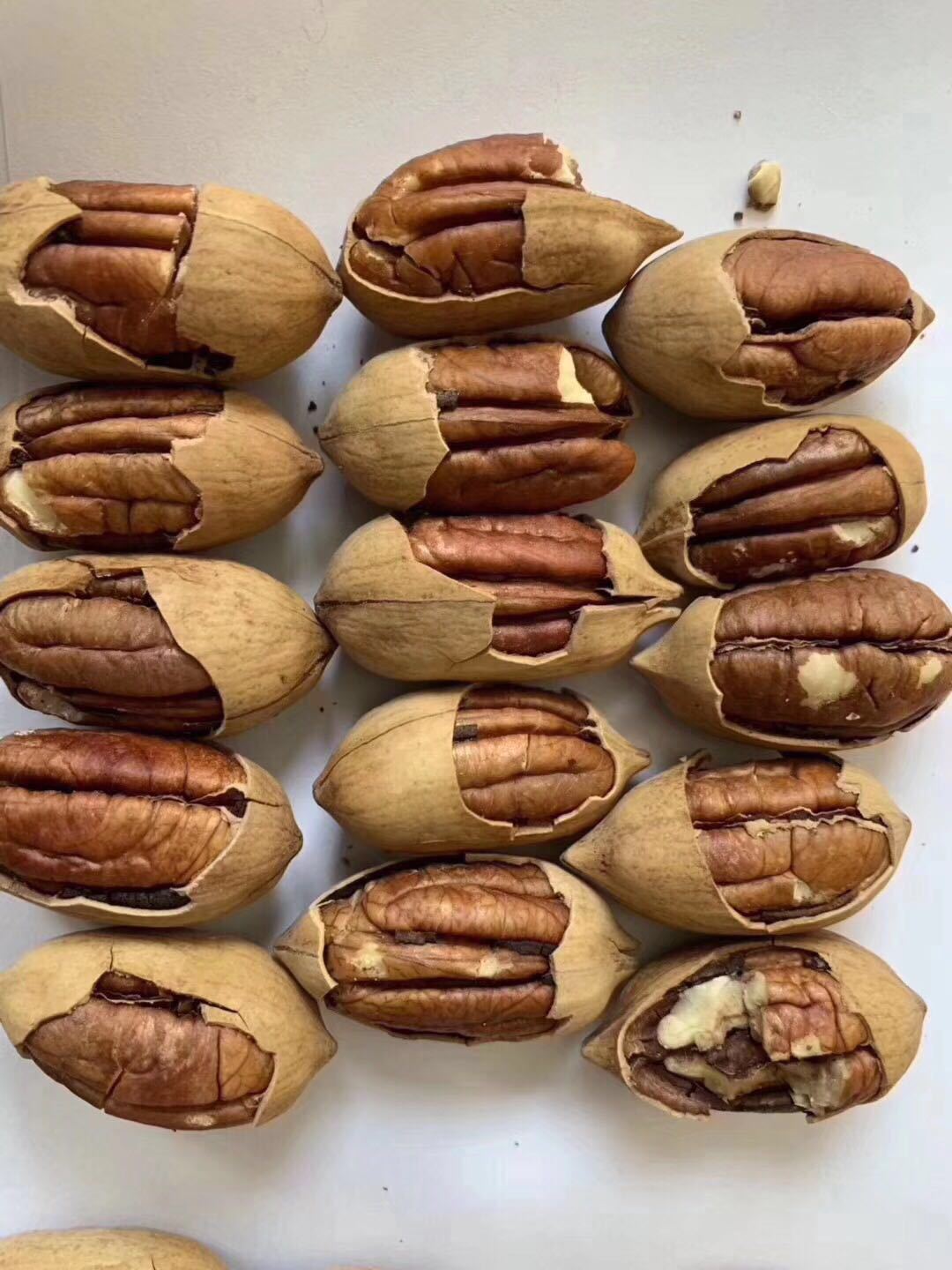 2020 new goods Pecan 500g/ Bagged Particle picking Collections of full Milk Full Xinjiang Straight hair