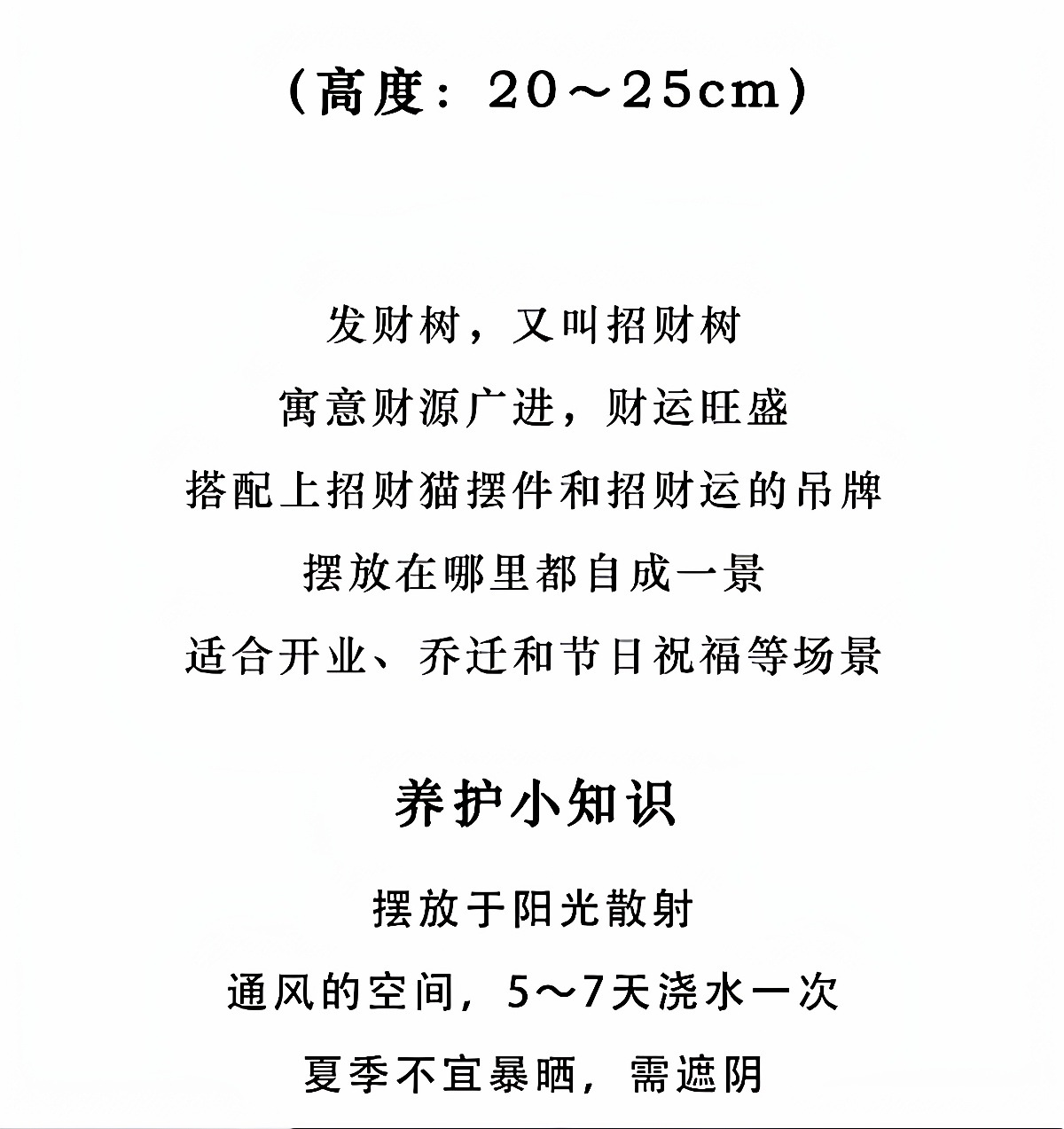 详情图