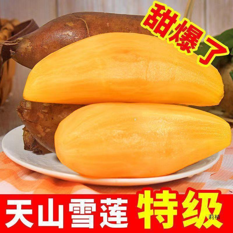 [Slender Fruit] Yunnan's Tianshan snow lotus fruit, fresh fruit, whole box, red heart, for pregnant women, snow lotus fruit, yellow heart