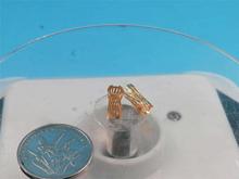 Ť��Ȧ�ɹڻɾ��ɲ�ײ��