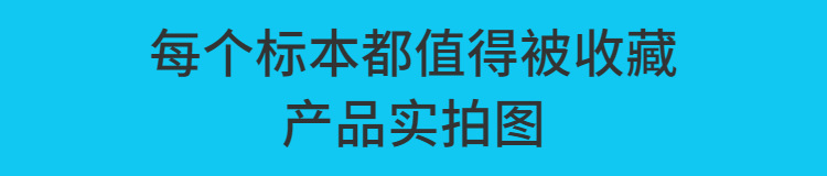 6954af1f-e8e1-4e46-9f03-e2204b5da56c.png