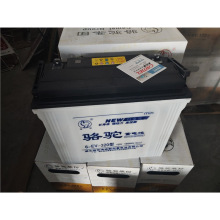 電動車電瓶 6-EV-320型 12V160Ah(c20)駱駝蓄電池 牽引電瓶