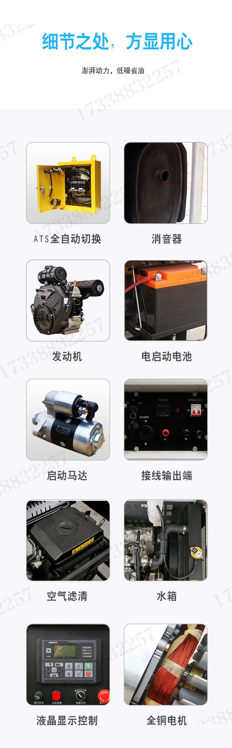 福建瑞天恒汽油发电机组09