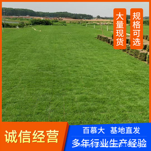 ����ֱ���@�־G�����|���̷Nֲ�� ���ؾG���Gֲ�������|��Ƥ���l