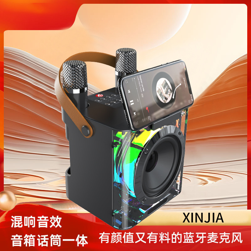 Dual K-Song Speaker with Portable Audio for Family Gatherings and Outdoor Dining, Direct from the Source Factory Ys203 Subwoofer