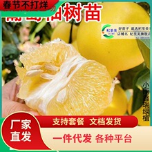 һ�����l̨���������֘����S��������޽��uβ�����������S������