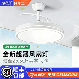 风扇灯;吸顶灯;吊灯