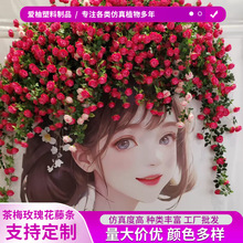 ����õ�廨�U�W�t�򿨻����ٲ�Ī�λ��@�҃�����{�T�^�b�����