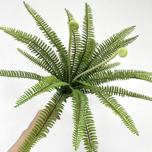 ����Gɫ��ë��˹���쾰�����ާ�ݲ廨�������ֲ��Gɫާ�~