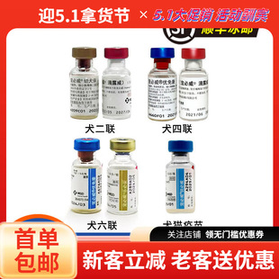 ���f���]���mӢ������Ȯ�������������J��������؈�䃞�⿵����