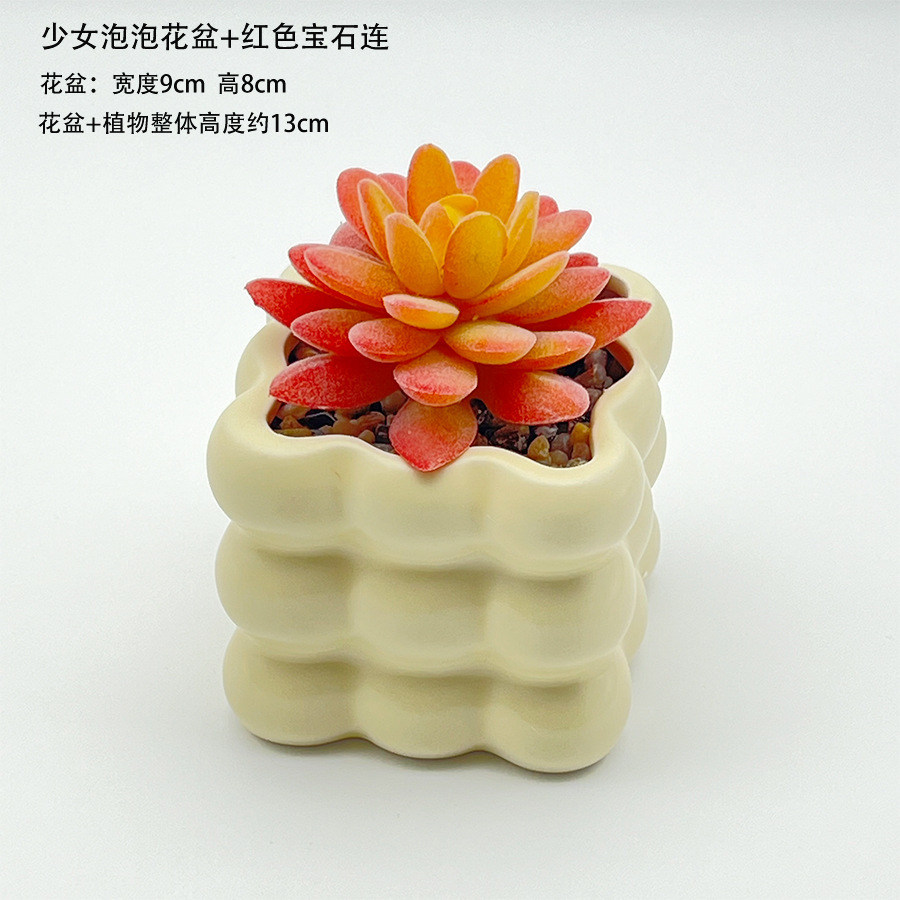 소녀의 버블 화분 + 보석 연꽃