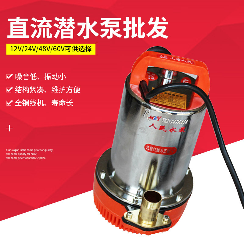 高扬程12V24V48V60V直流潜水电动机船用水泵抽水电动机