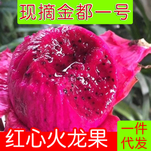 "Jindu № 1 Dragon Fruit" Юньнань Хонсин Красное мясо Дракон Фрукты полны свежих свежих медовых сокровищ
