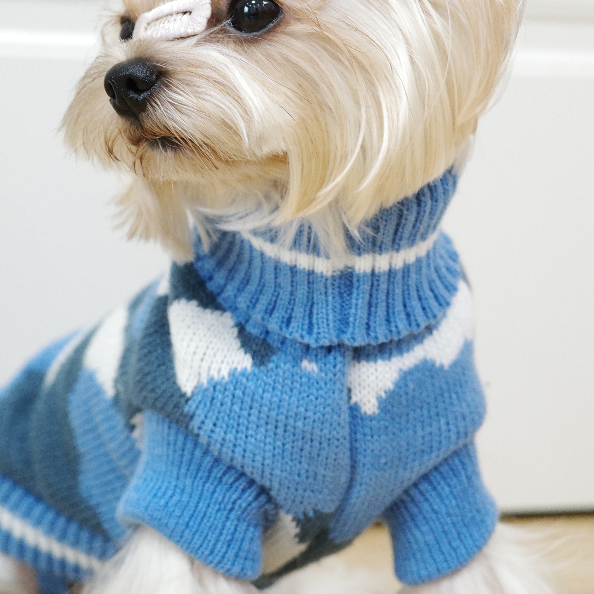 Pulover pentru câini Toamnă și iarnă Pulover tricotat Câine mic Teddy Bichon Animal de companie Haine calde Stil de camuflaj albastru