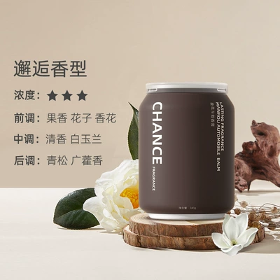 Carefully Selected Car Aromatherapy Car Ornaments Car Home Fragrance High-End Light Fragrance Solid Balm Car Perfume (Perfplant seat) - encounter-fragrance