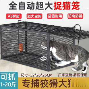 ȫ�ԄӲ�؈�\��̖ץ؈�����˵���Ԯ�����¿��׽؈�\�ӑ��Ⲷ؈�\