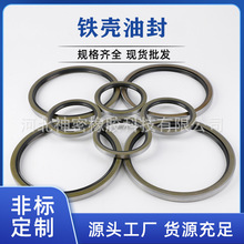 外露骨架防尘圈 外铁防尘壳油封 工业密封件液压与气动密封件机