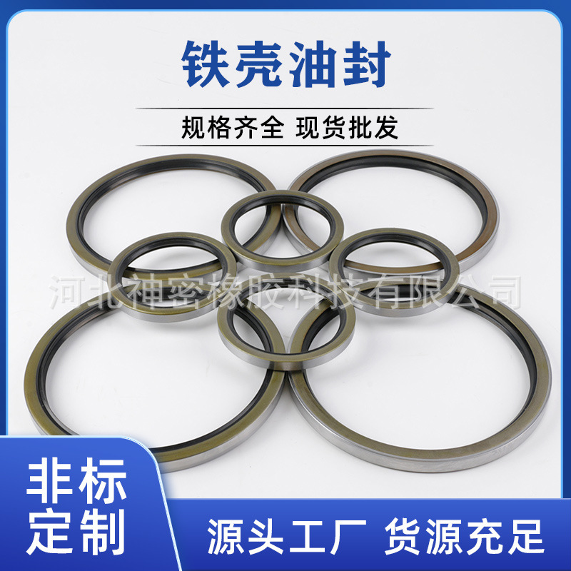 外露骨架防尘圈 外铁防尘壳油封 工业密封件液压与气动密封件机