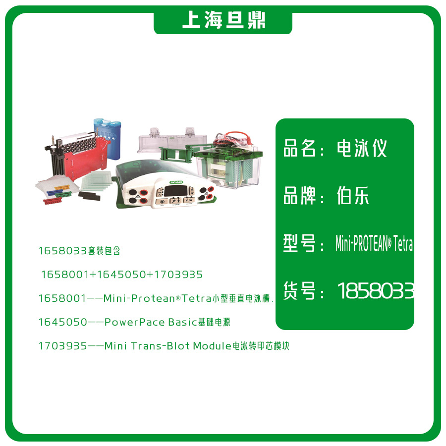 美国伯乐bio-rad 1658033小型垂直电泳仪