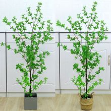 ���W�L����ֲ���辰���滨�Gֲ�[�������~�҃�����������