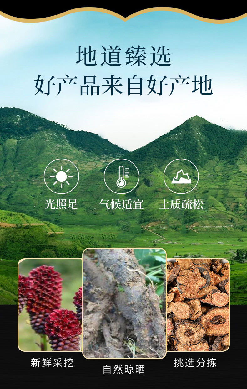 Di Yu (Sanguisorba officinalis) — Dried Burnet Root, Charred Di Yu & Custom Powder overview