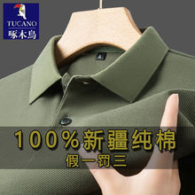 ��ľ�B��ʿ����t��2026�¿�߶����귭�Ipolo������T