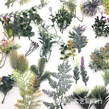 ����Gֲë��ˮ�� ��������ֲ��廨�羳��̰����׷�ˮ�����