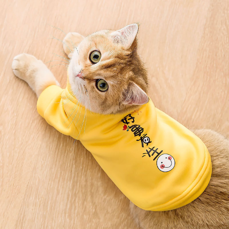 Ropa de mascotas buena cosa sucedió camiseta de terciopelo delgada para adultos gatos calientes gatos perros Teddy Yorkshire ropa al por mayor image 3