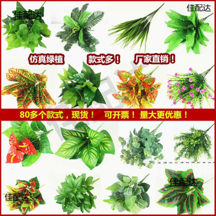 ����ֲ��Gֲ���ٻ��ٲ��҃����ⱳ�����b��ݾG�}�����řڻ�