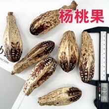 �����ҹ�����������Ȼ�ɻ�������޹ֲ��˱��������DIY�ɻ�����