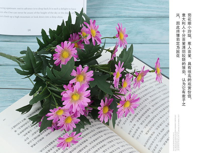 9头韩式菊 详情11